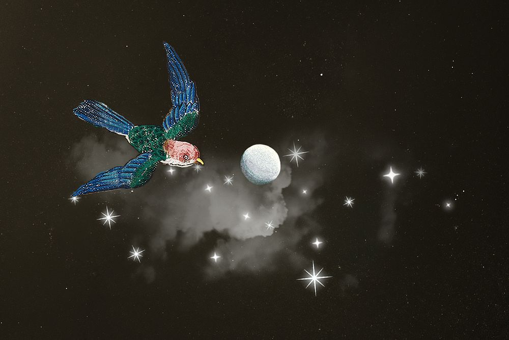 Flying bird on starry sky, aesthetic remix