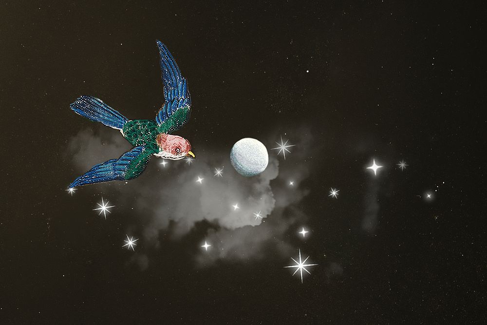 Flying bird on starry sky, aesthetic remix psd