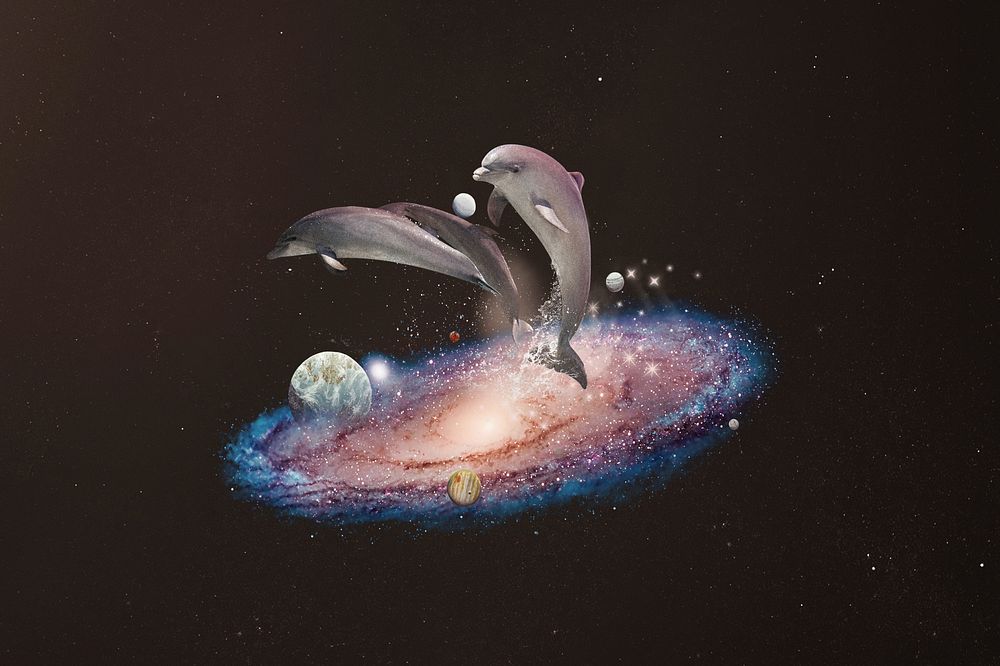 Swimming dolphins, galaxy aesthetic remix