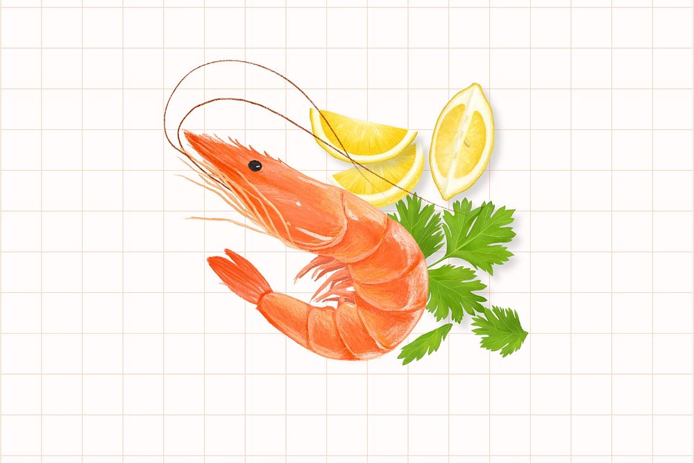 Boil shrimp, seafood illustration