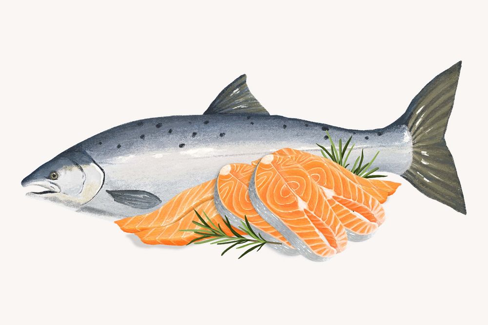 Fresh salmon  fish, seafood illustration