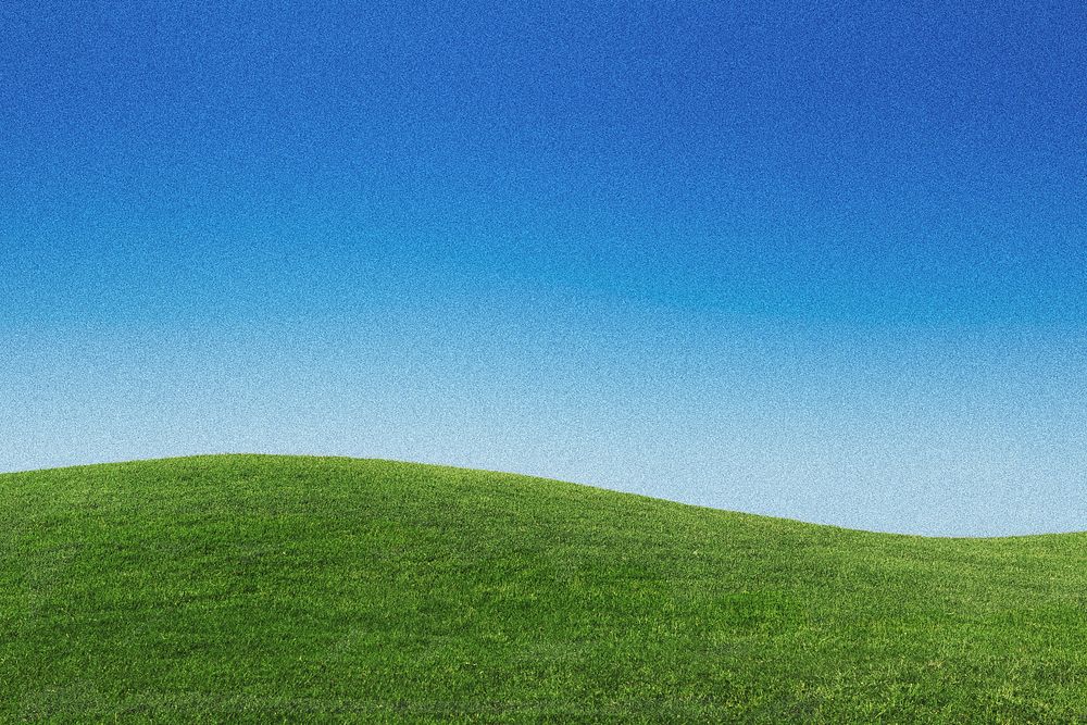 Landscape grass field background, blue gradient sky