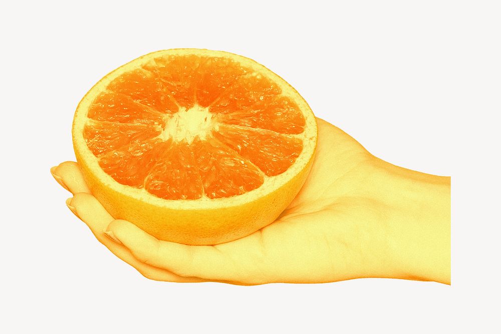 Hand holding orange, food collage element