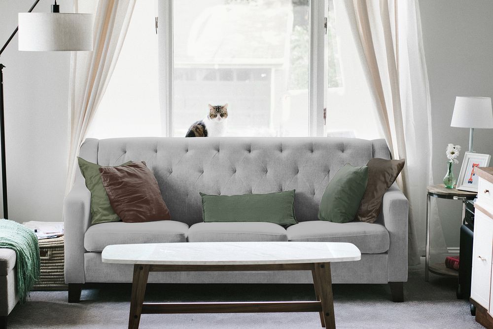 Gray sofa, living room furniture