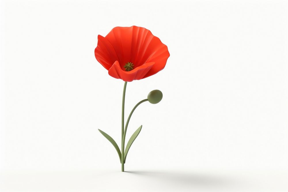 Flower poppy plant white background. AI generated Image by rawpixel.