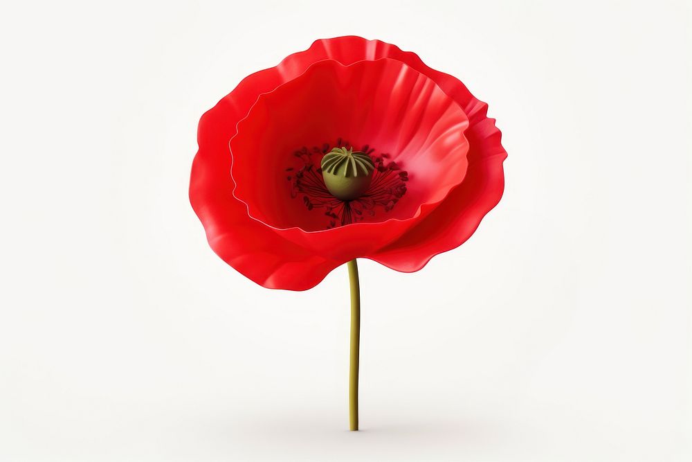 Flower poppy plant red. AI generated Image by rawpixel.