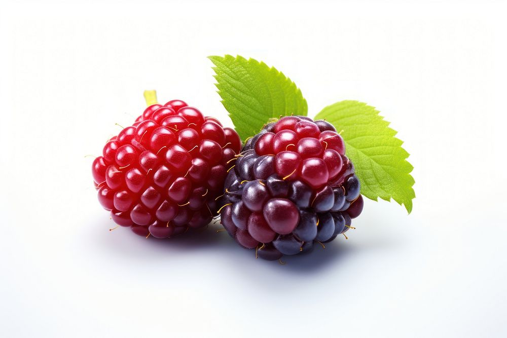 Berry blackberry raspberry fruit. AI generated Image by rawpixel.