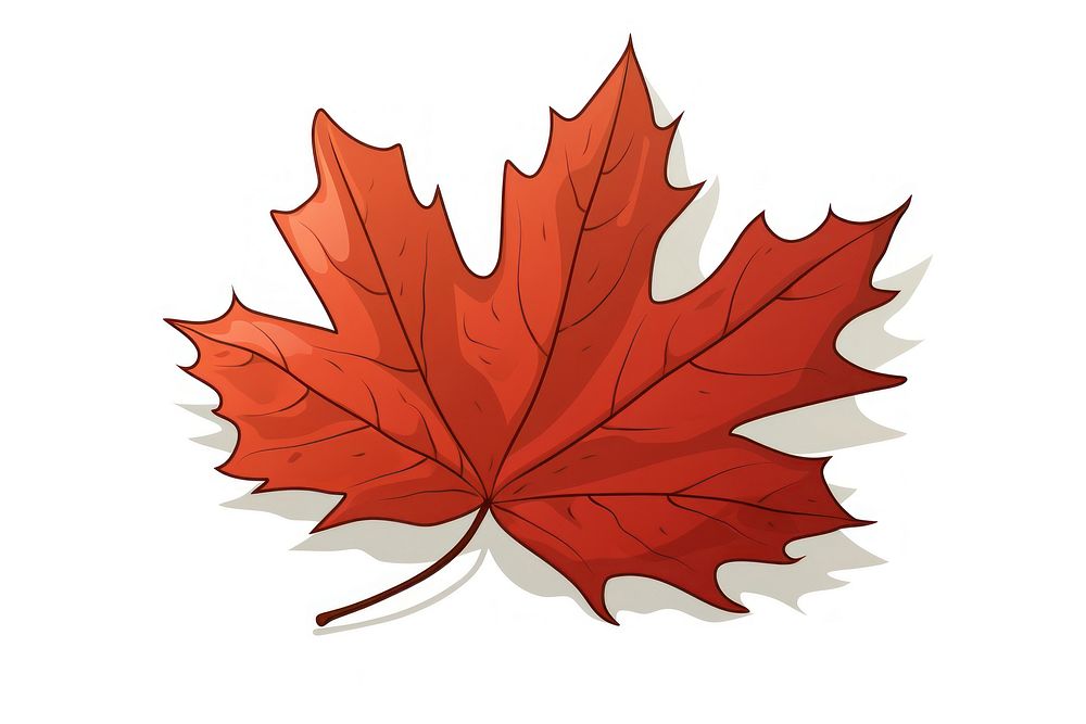 Maple leaf cartoon plant. AI generated Image by rawpixel.
