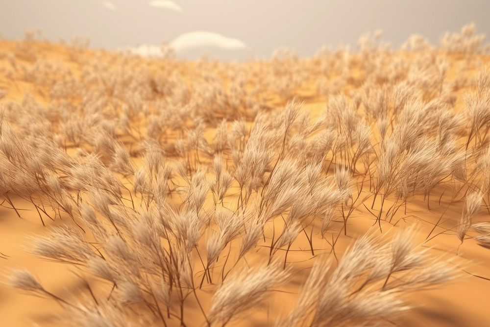 Grass landscape outdoors nature. AI generated Image by rawpixel.