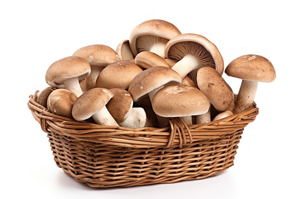 Mushroom basket white background agaricaceae. AI generated Image by rawpixel.