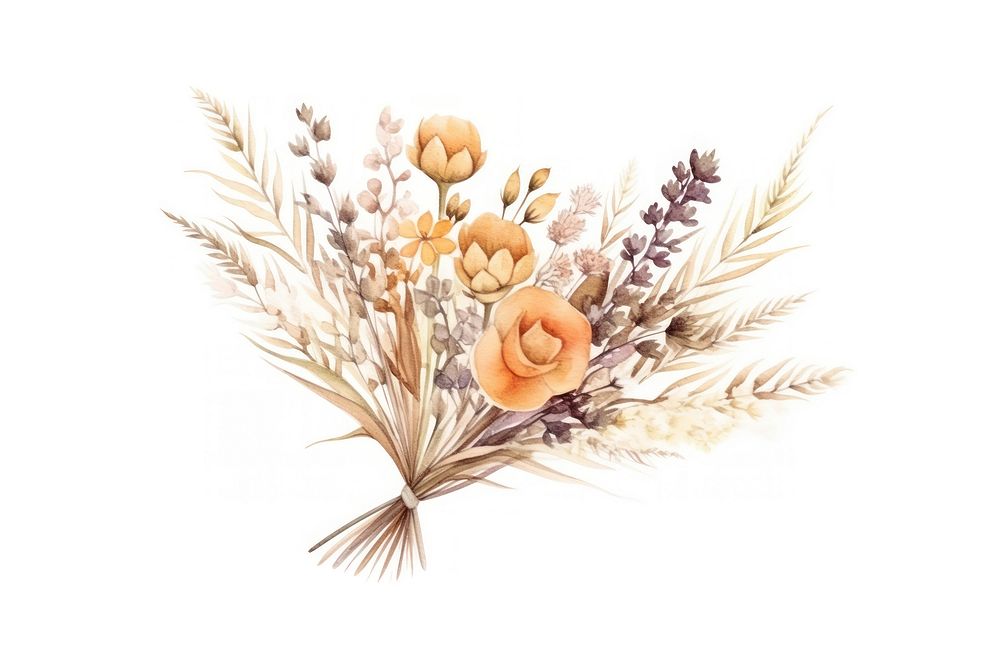 Flower wheat white background celebration. AI generated Image by rawpixel.