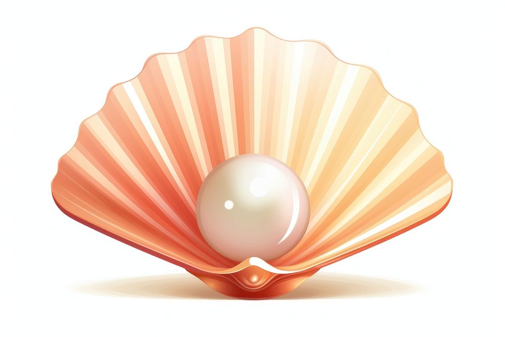 Seashell pearl white background invertebrate. AI generated Image by rawpixel.