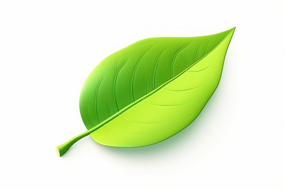 Leaf plant white background freshness. AI generated Image by rawpixel.