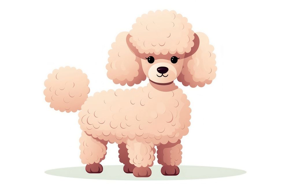 Poodle mammal animal pet. 