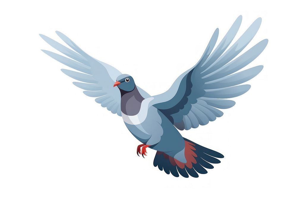 Pigeon animal bird white background. 