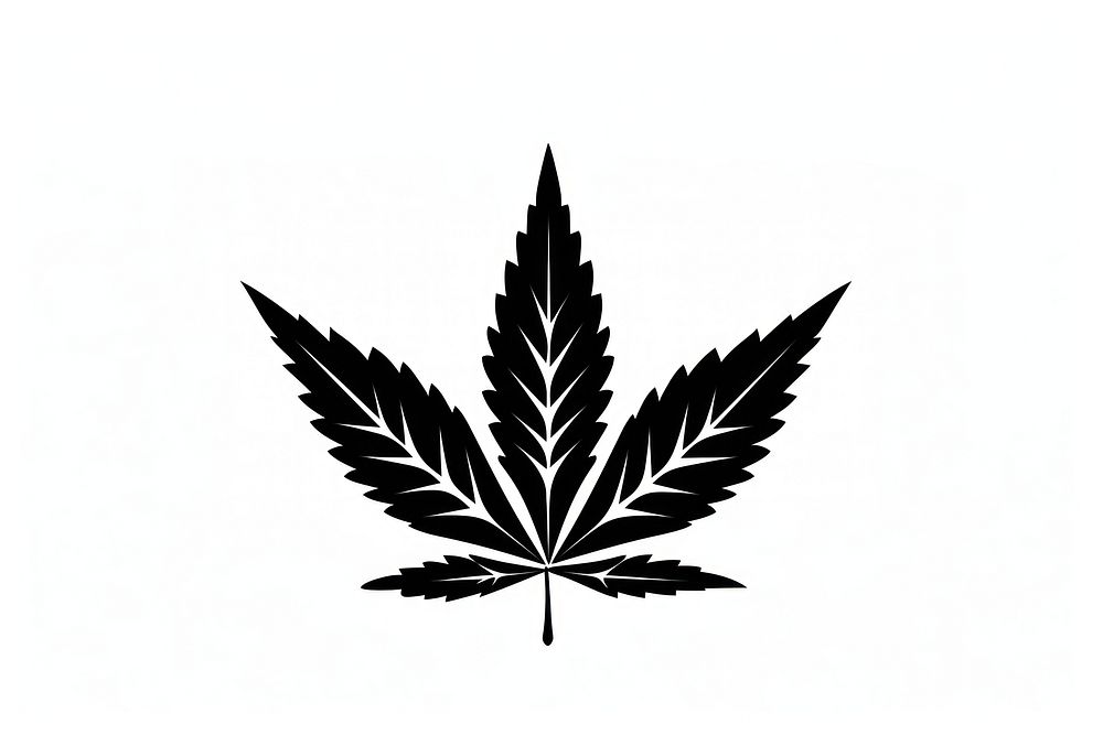 Leaf cannabis plant black. AI generated Image by rawpixel.