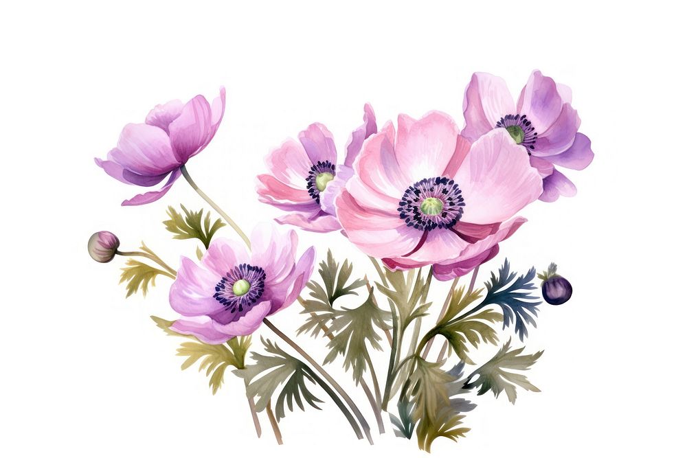 Blossom anemone flower plant. AI generated Image by rawpixel.