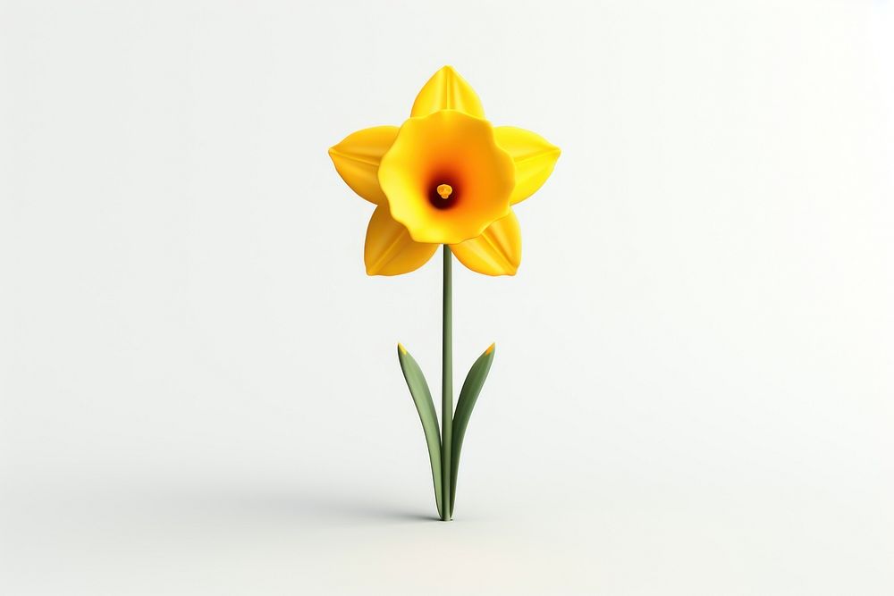 Daffodil flower plant white background. AI generated Image by rawpixel.