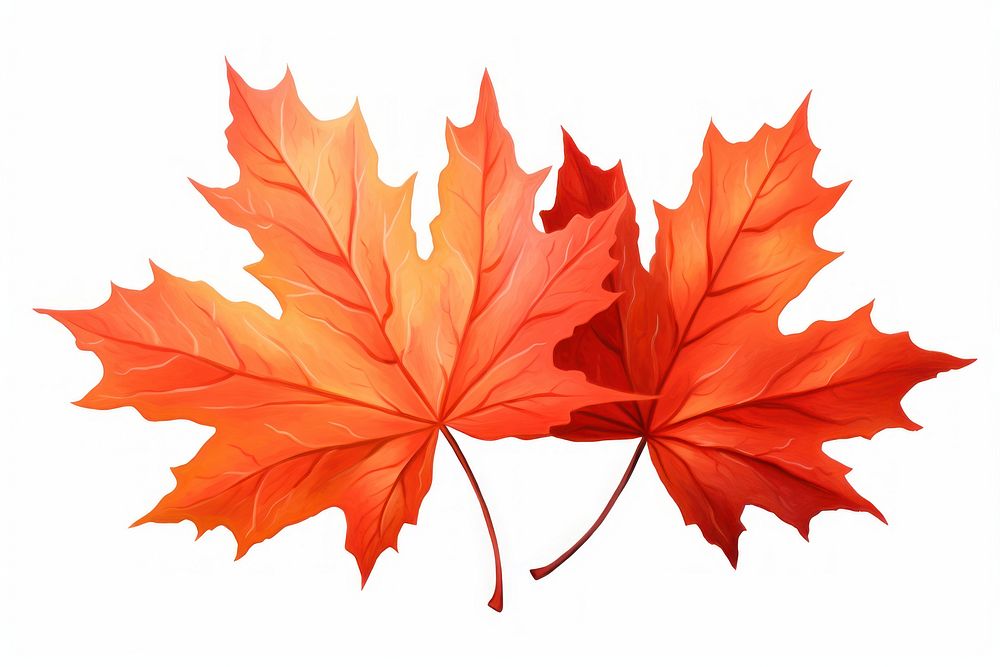 Maple leaves plant leaf. AI generated Image by rawpixel.