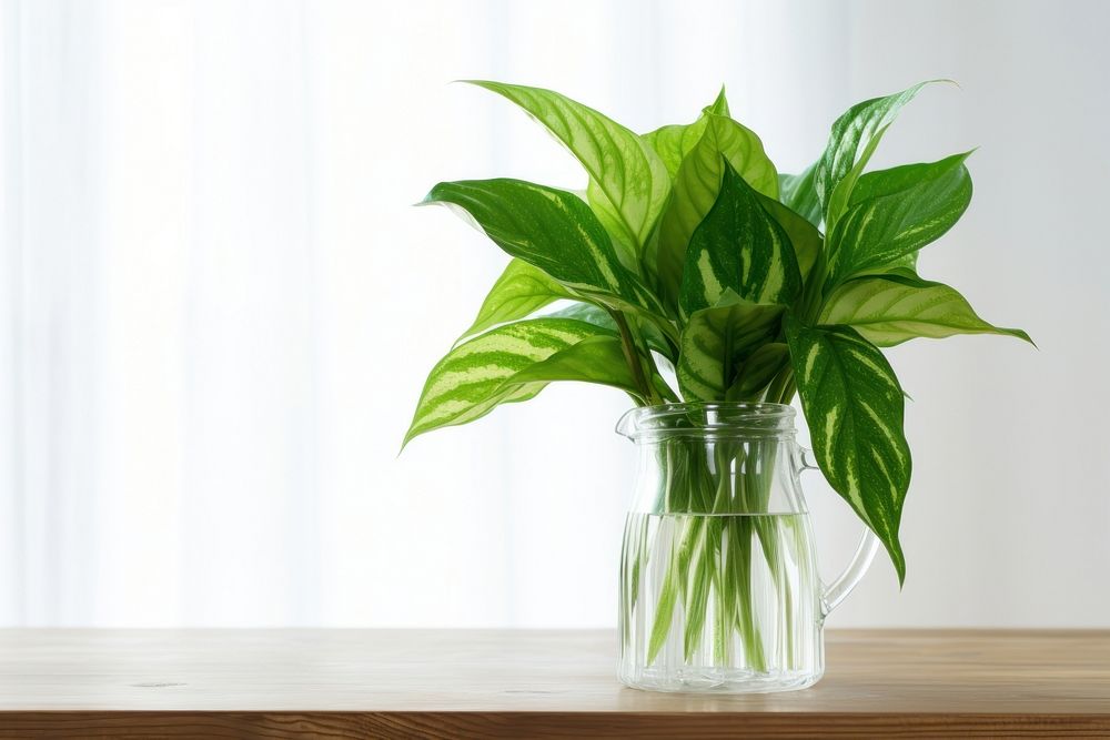 Plant table glass vase. AI generated Image by rawpixel.