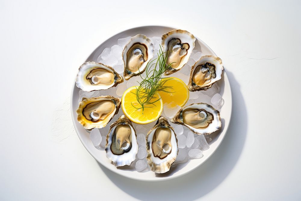 Oyster plate seafood lemon. AI generated Image by rawpixel.