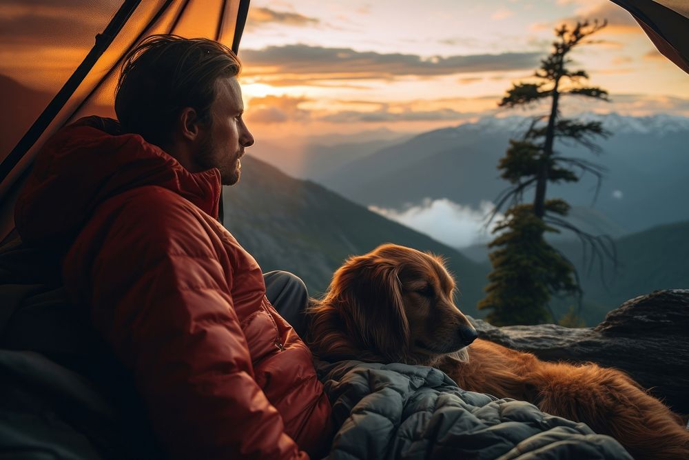 Dog outdoors camping nature. AI generated Image by rawpixel.