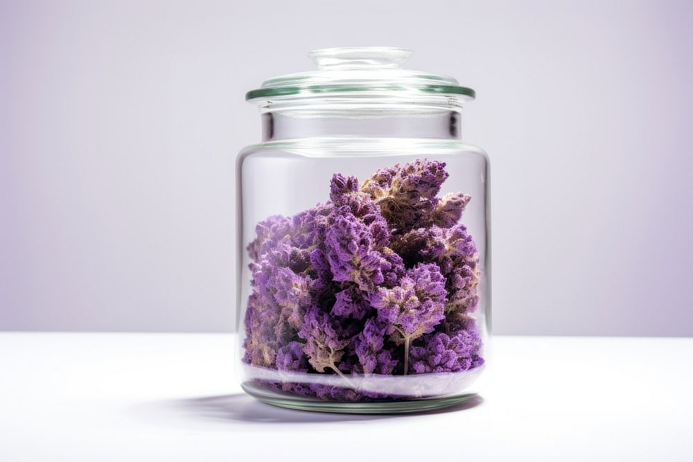 Jar lavender flower purple. AI generated Image by rawpixel.