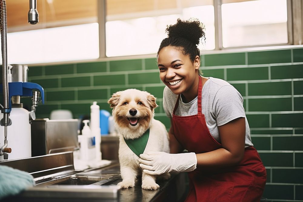 Dog pet mammal animal.