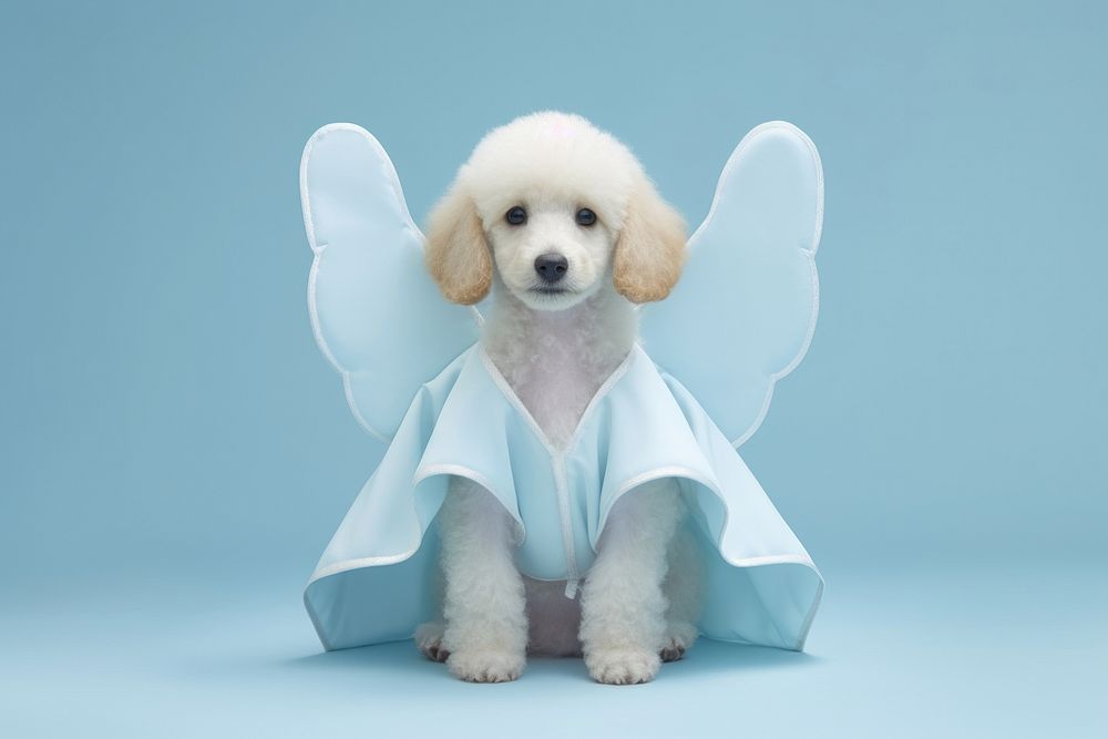 Puppy animal mammal poodle. AI generated Image by rawpixel.