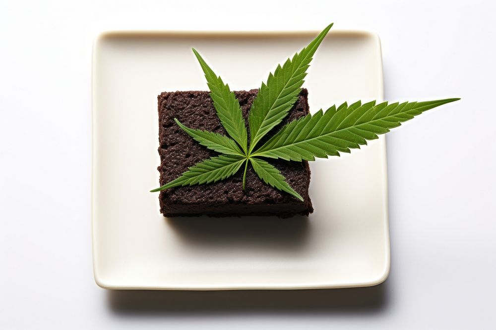 Plate leaf cannabis plant. AI generated Image by rawpixel.