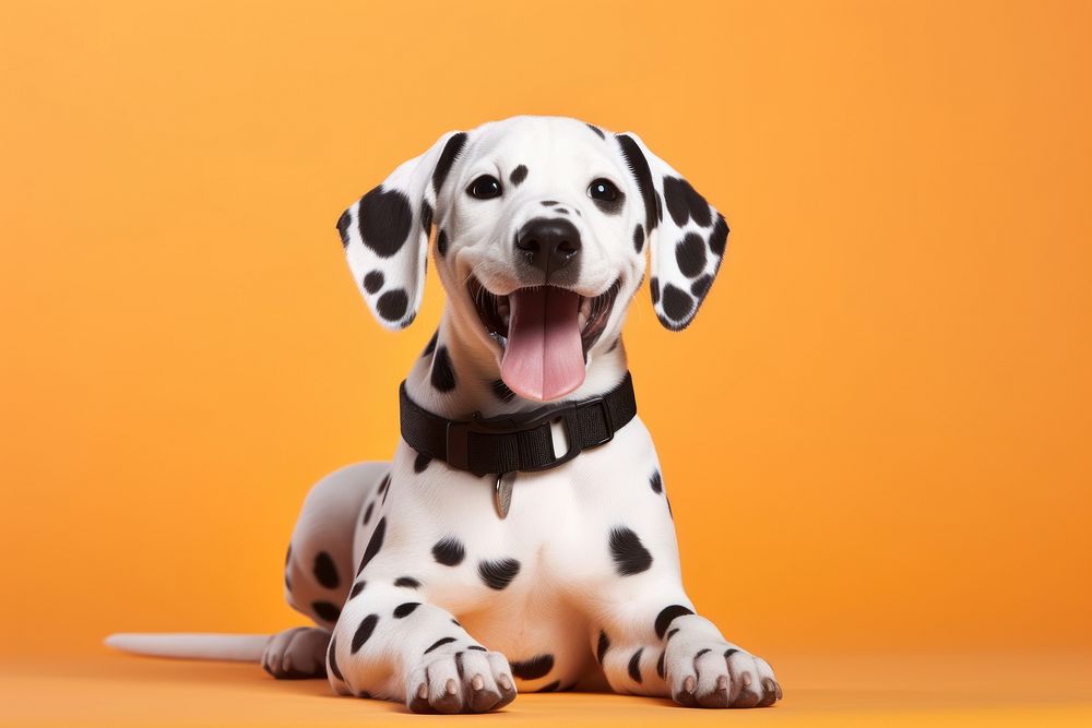 Puppy pet dalmatian animal. AI generated Image by rawpixel.