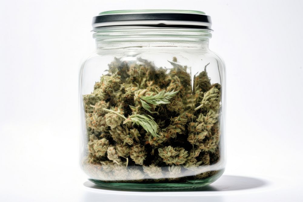 Jar plant bud container. AI generated Image by rawpixel.
