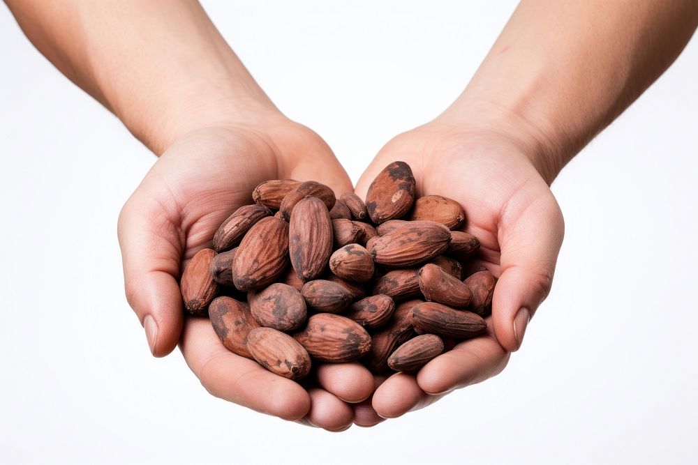 Holding food hand nut. AI generated Image by rawpixel.
