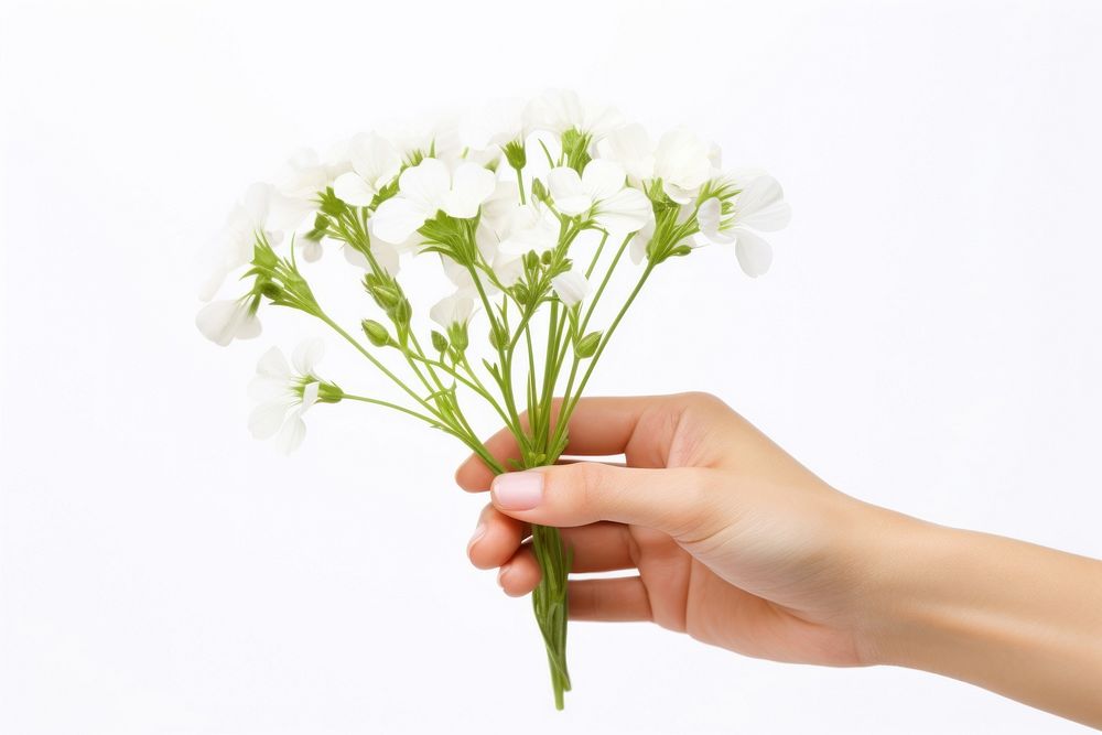 Hand holding flower finger. AI generated Image by rawpixel.