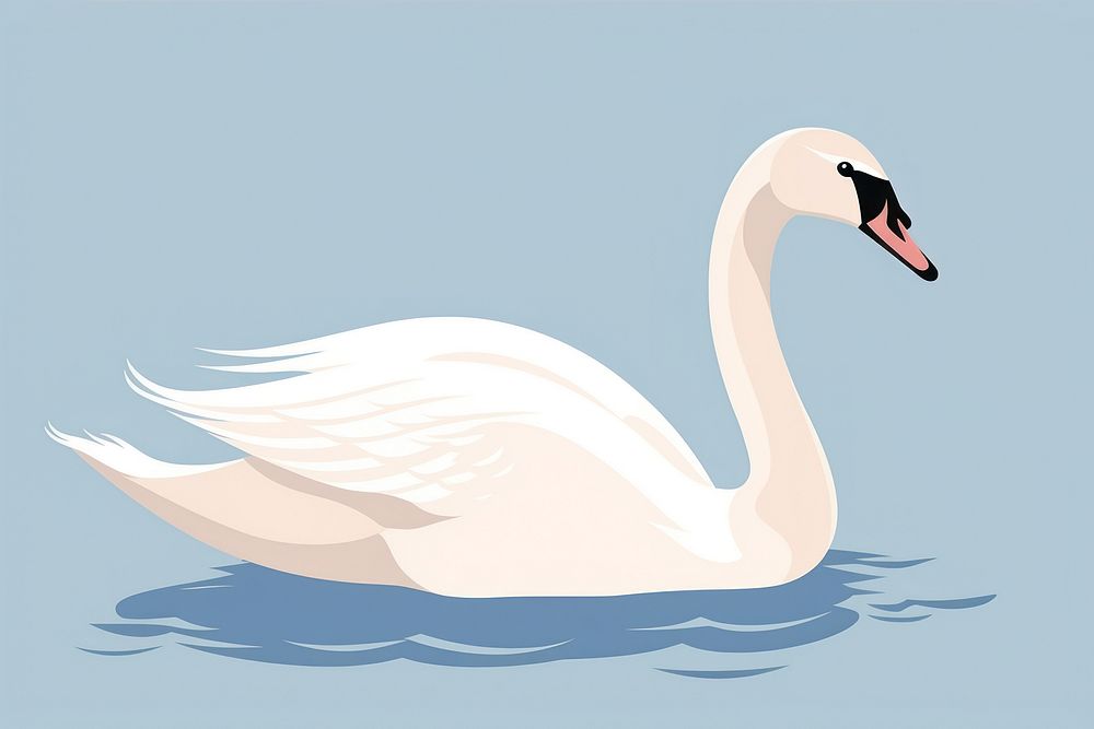 Swan bird animal anseriformes. 