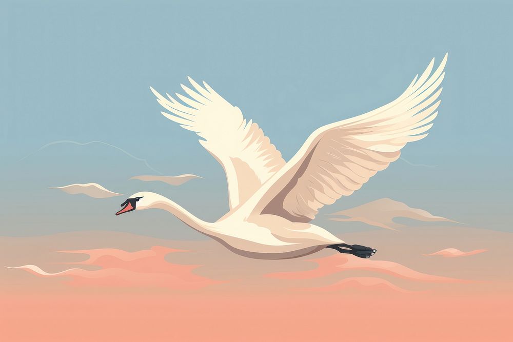 Bird swan animal flying. 