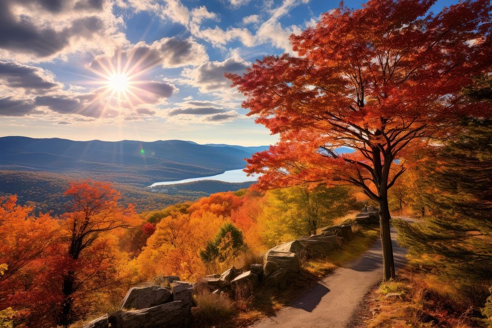 Landscape outdoors nature autumn. AI generated Image by rawpixel.