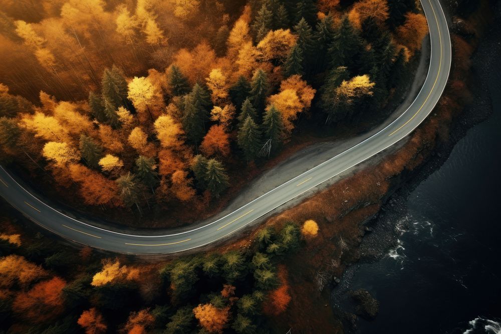 Forest road outdoors nature. AI generated Image by rawpixel.
