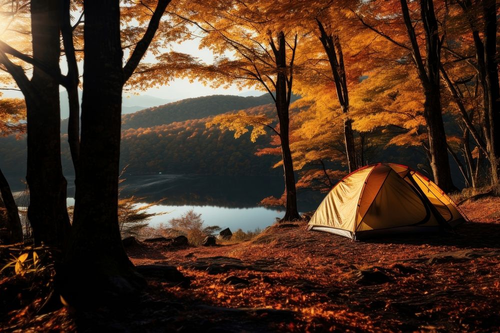 Camping autumn architecture recreation. 