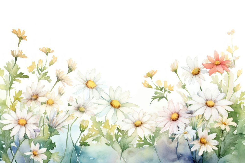 Daisy backgrounds blossom pattern. AI generated Image by rawpixel.