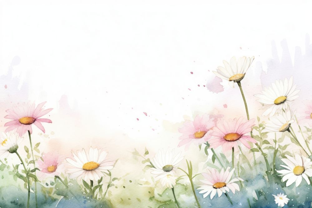 Daisy backgrounds outdoors flower. AI generated Image by rawpixel.