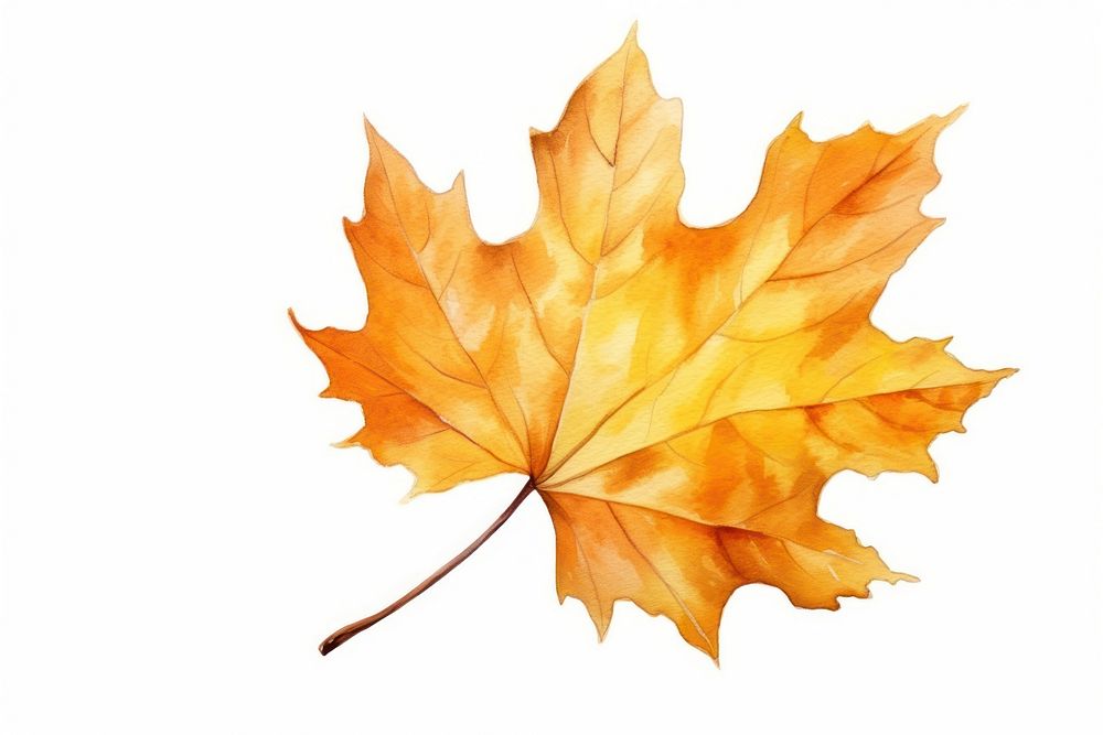 Leaves autumn maple plant. AI generated Image by rawpixel.