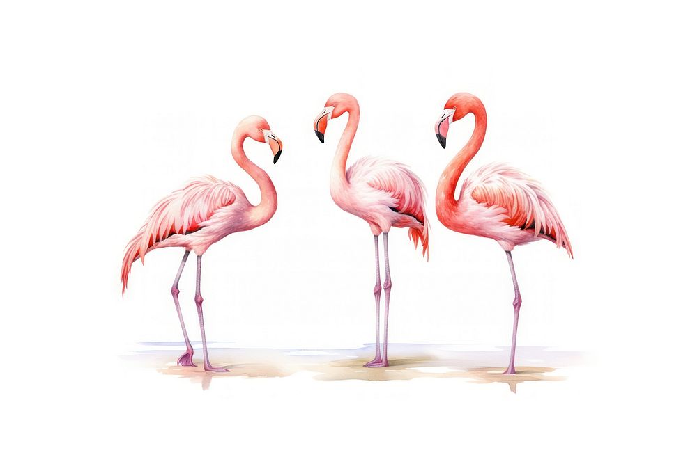 Flamingo standing animal bird. AI generated Image by rawpixel.