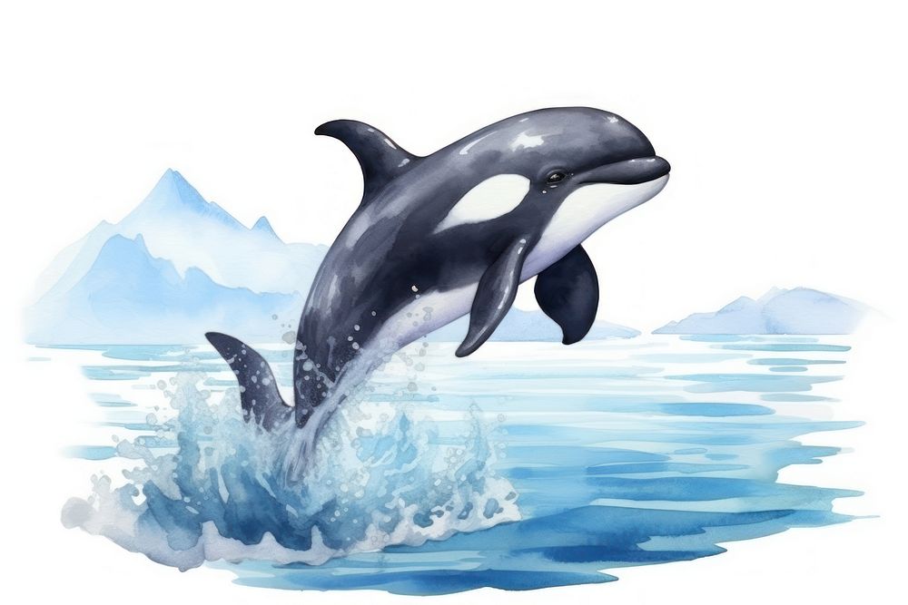 Dolphin jumping animal mammal. AI generated Image by rawpixel.
