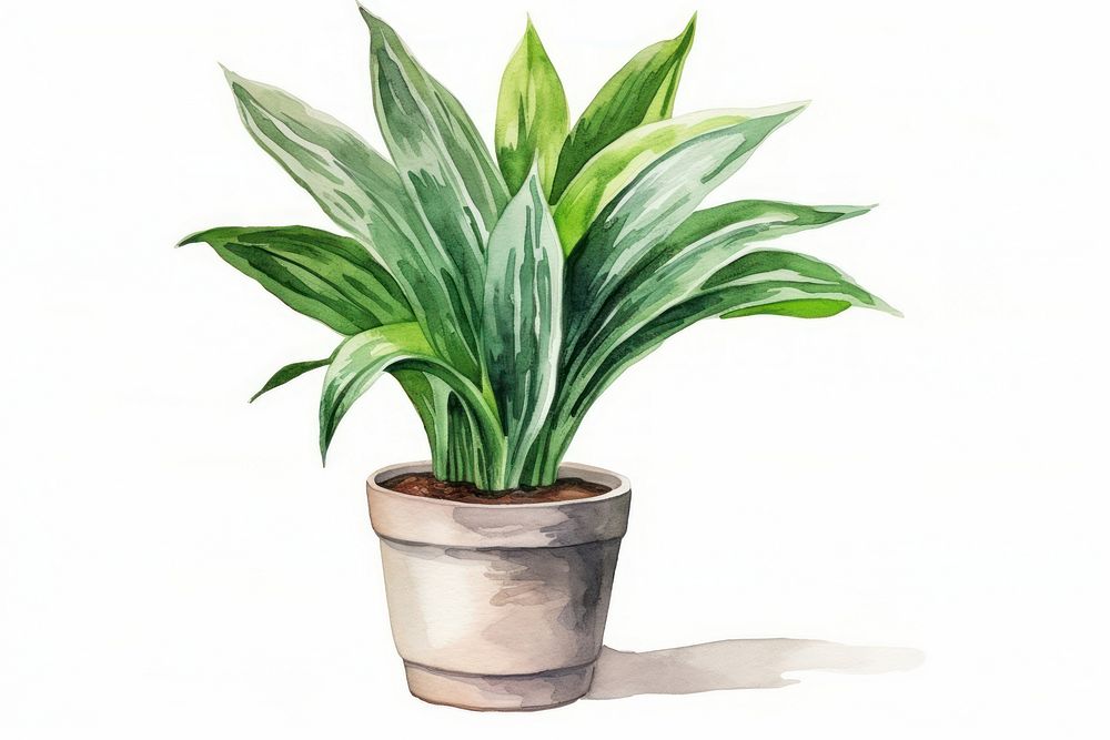 Plant leaf houseplant freshness. AI generated Image by rawpixel.