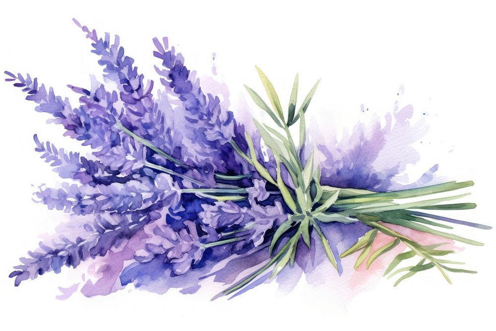 Lavender flower plant inflorescence. AI generated Image by rawpixel.