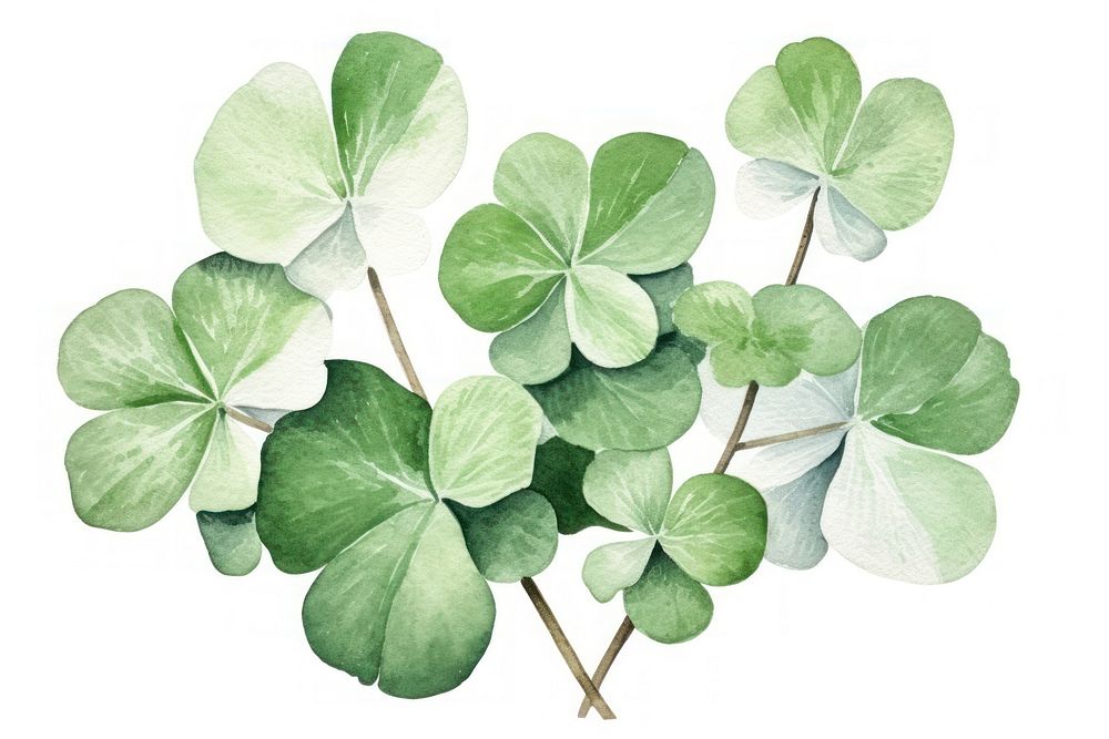 Clover plant leaf creativity. AI generated Image by rawpixel.