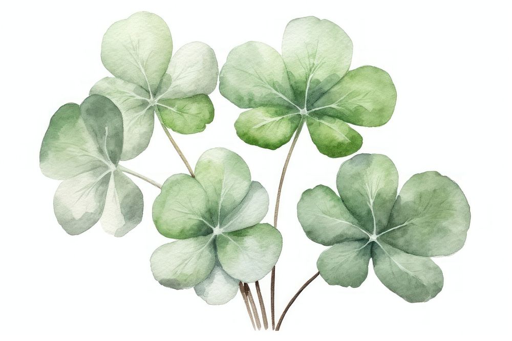Clover plant herbs leaf. AI generated Image by rawpixel.