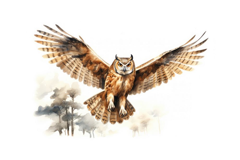 Owl cartoon animal bird. AI generated Image by rawpixel.