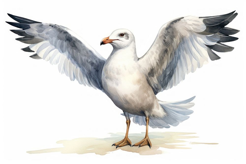Seagull cartoon animal flying. AI generated Image by rawpixel.